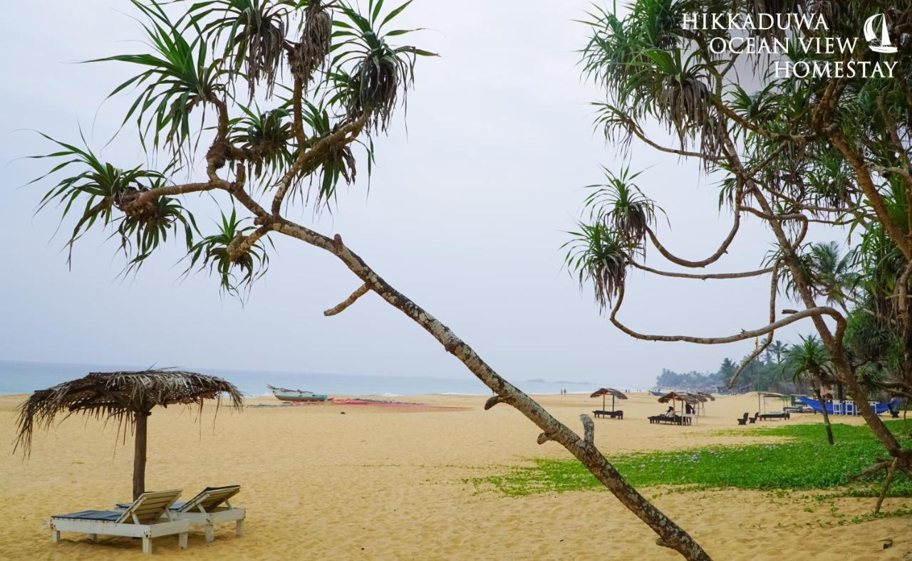 Hikkaduwa Ocean View Homestay ภายนอก รูปภาพ